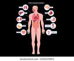 인체 장기 이름 맞추기(험오주의) 썸네일