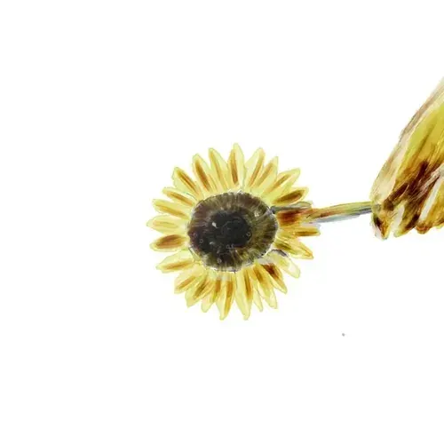 요루시카 노래 맞히기(2026.2.18.)