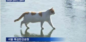 밈을 맞춰보세여 썸네일