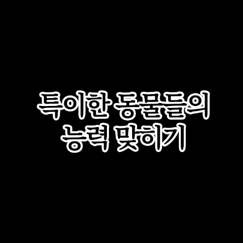 동물능력맞히기 썸네일
