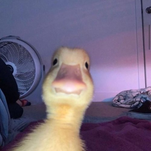 8살도 쉽다고 한 퀴즈