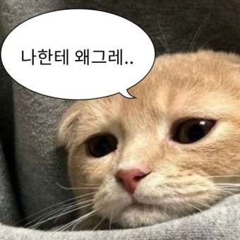 포켓몬 실루엣(실루엣 아님) 보고 맞추기 썸네일