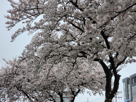 맞출수있을까???? 상식퀴즈