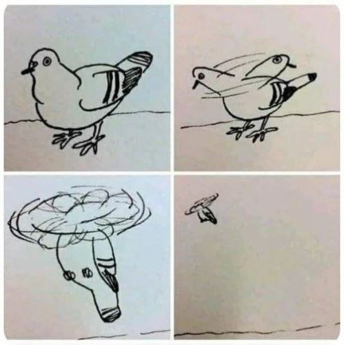 백엔드/뎁옵스 개발자라면 알아야되는 프레임워크/툴/언어 로고 및 아이콘들 썸네일