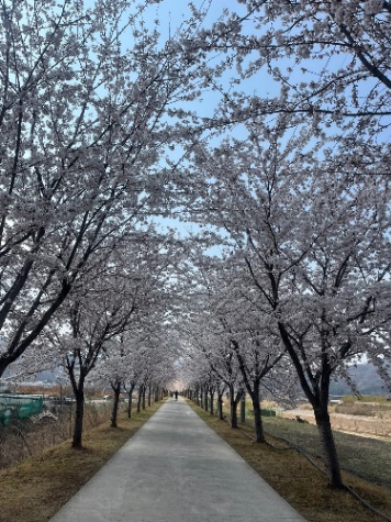 전래동화 이름 맞추기