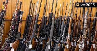 비슷한 총 이름 맞추기