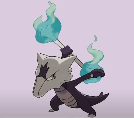 알로라 포켓몬 마추기