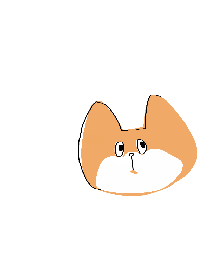 고롱고롱쉼터 고양이 퀴즈