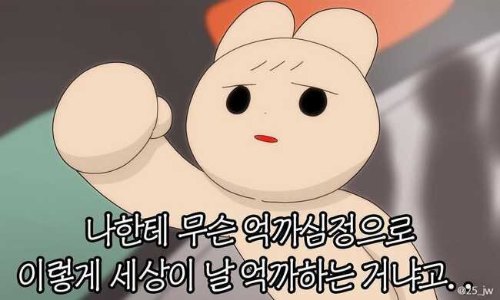 개 억지 테스트 썸네일