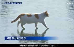 사진보고 밈맞추기 썸네일