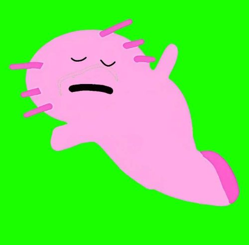 클로 카드 퀴즈 썸네일