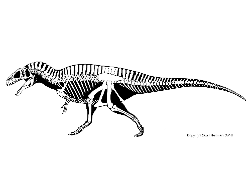 공룡 골격도 맞추기 썸네일