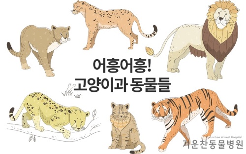 고양이과 맞추기