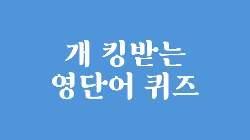 【80문제】 영단어 퀴즈