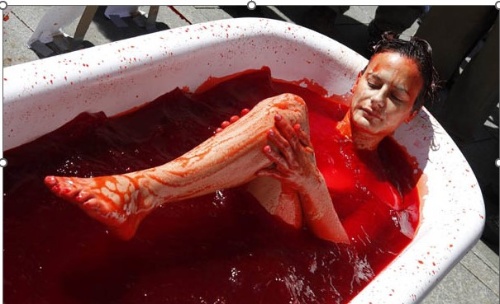 이상한 사진 보고 지메 익데 마추기 1.32ver - 그저학생 안 썸네일