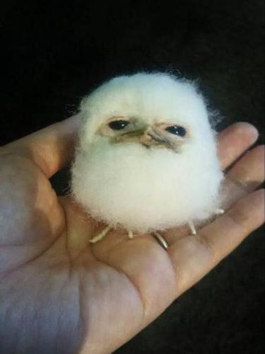 일본노래 5초듣고 맞추기 썸네일