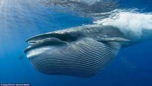 역사(3)-통일신라