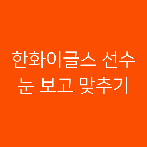 2025 한화이글스 선수 눈 보고 맞추기 썸네일