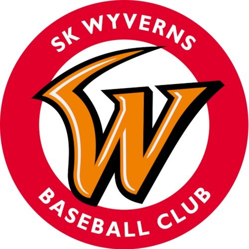 KBO SK 와이번스 선수 맞추기