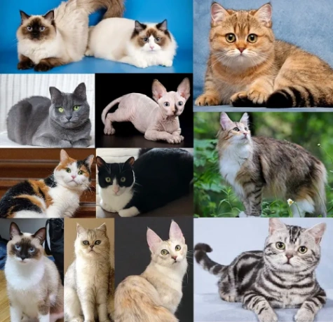 2025 노래맞추기 썸네일