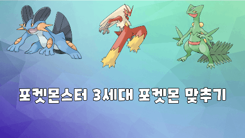 포켓몬스터 3세대 포켓몬 맞추기 (2편)